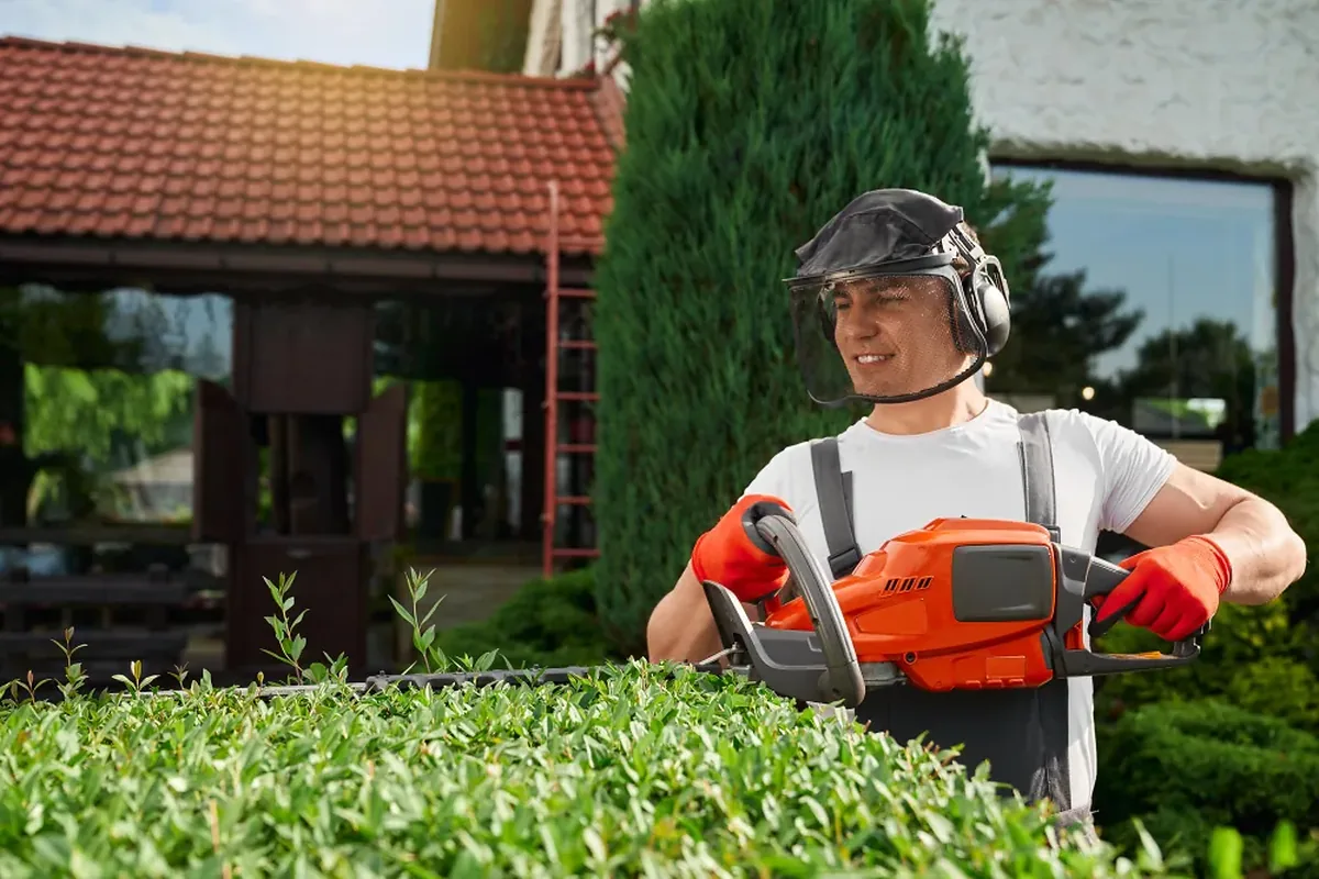 Professionnel entretenant un jardin résidentiel