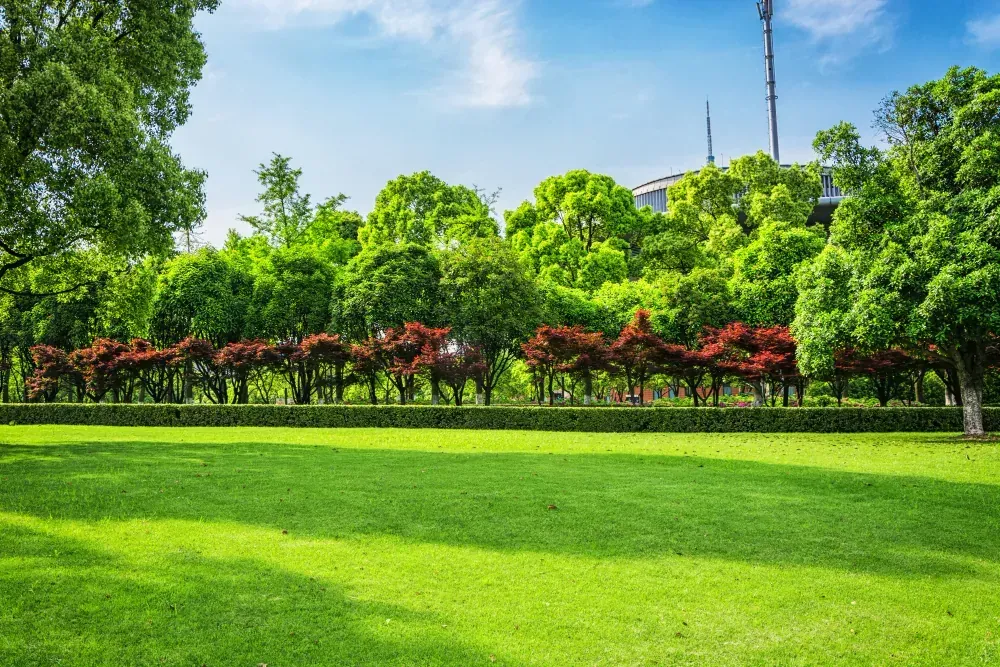 Jardin / entretien extérieur — aperçu visuel 4