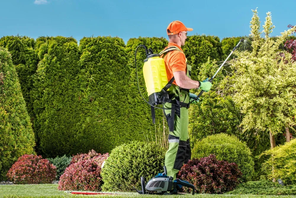 Jardin / entretien extérieur — aperçu visuel 1