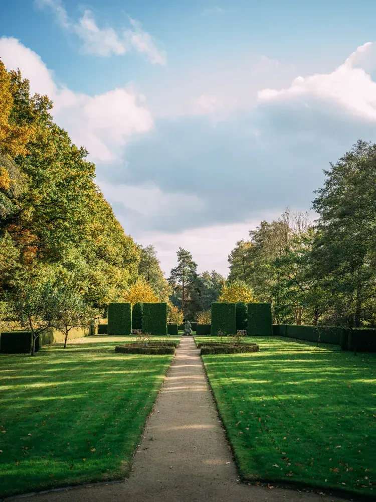 Jardin / entretien extérieur — aperçu visuel 8