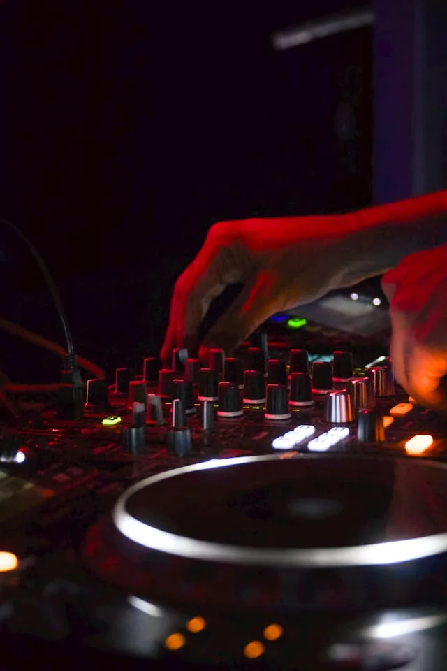 DJ / Animation — aperçu visuel 1