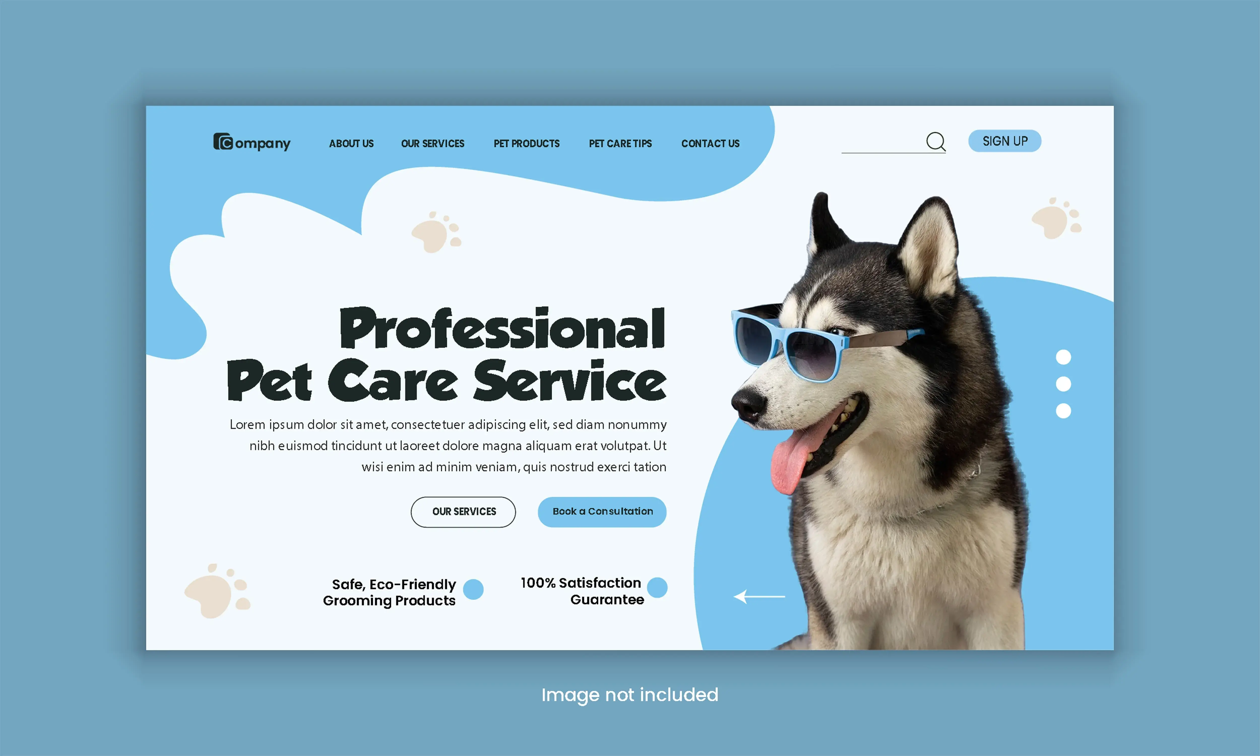 Vétérinaire avec un animal pour illustrer un site de clinique vétérinaire